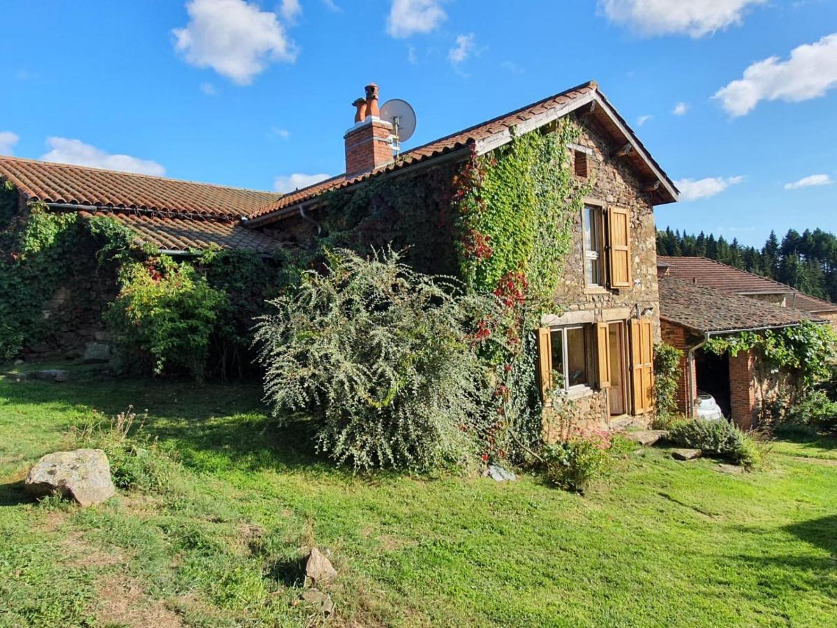 Eco-Gite Cottage Panoramique, Terrasses, Baby Foot, 150 M2 Renove Et Agrandi En 2024, Activites Proposees Champagnac-le-Vieux Eksteriør bilde